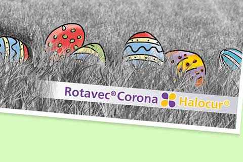 rota-ostern