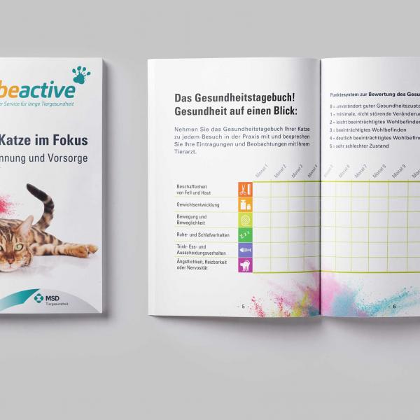 Printmedien - Broschüre